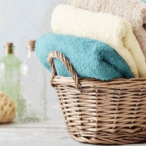 Terry Towel fabric