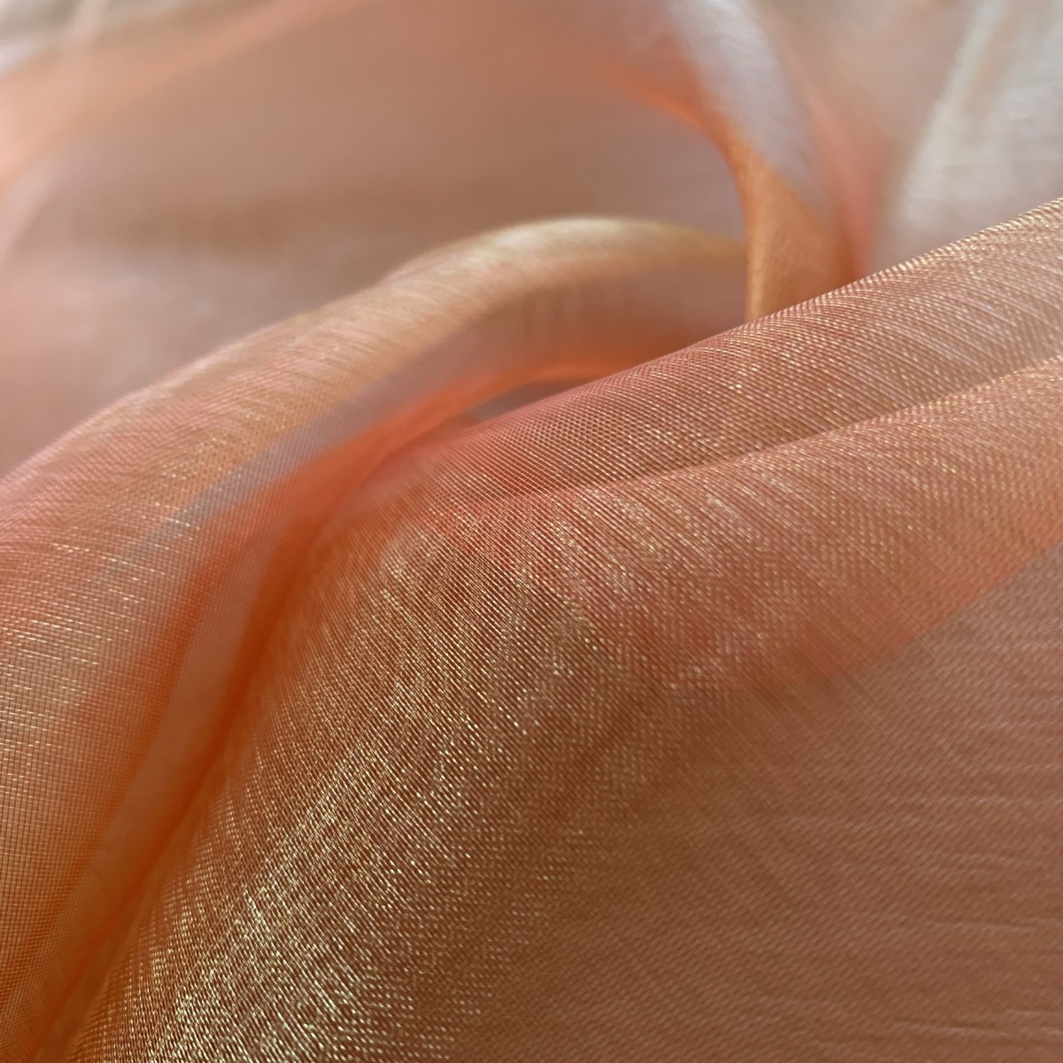 color: ORGZ color: ORGZ