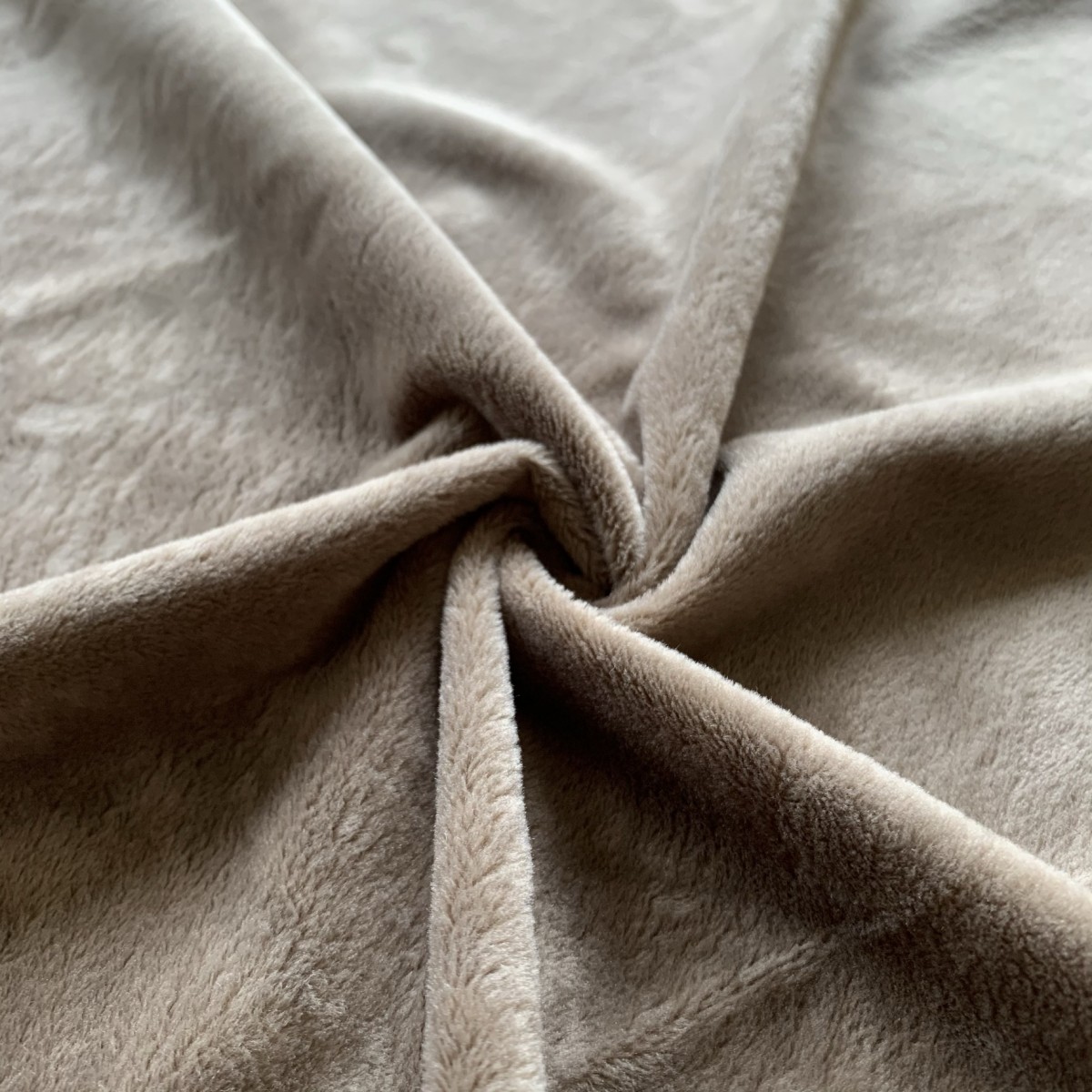 color: PLSU color: PLSU