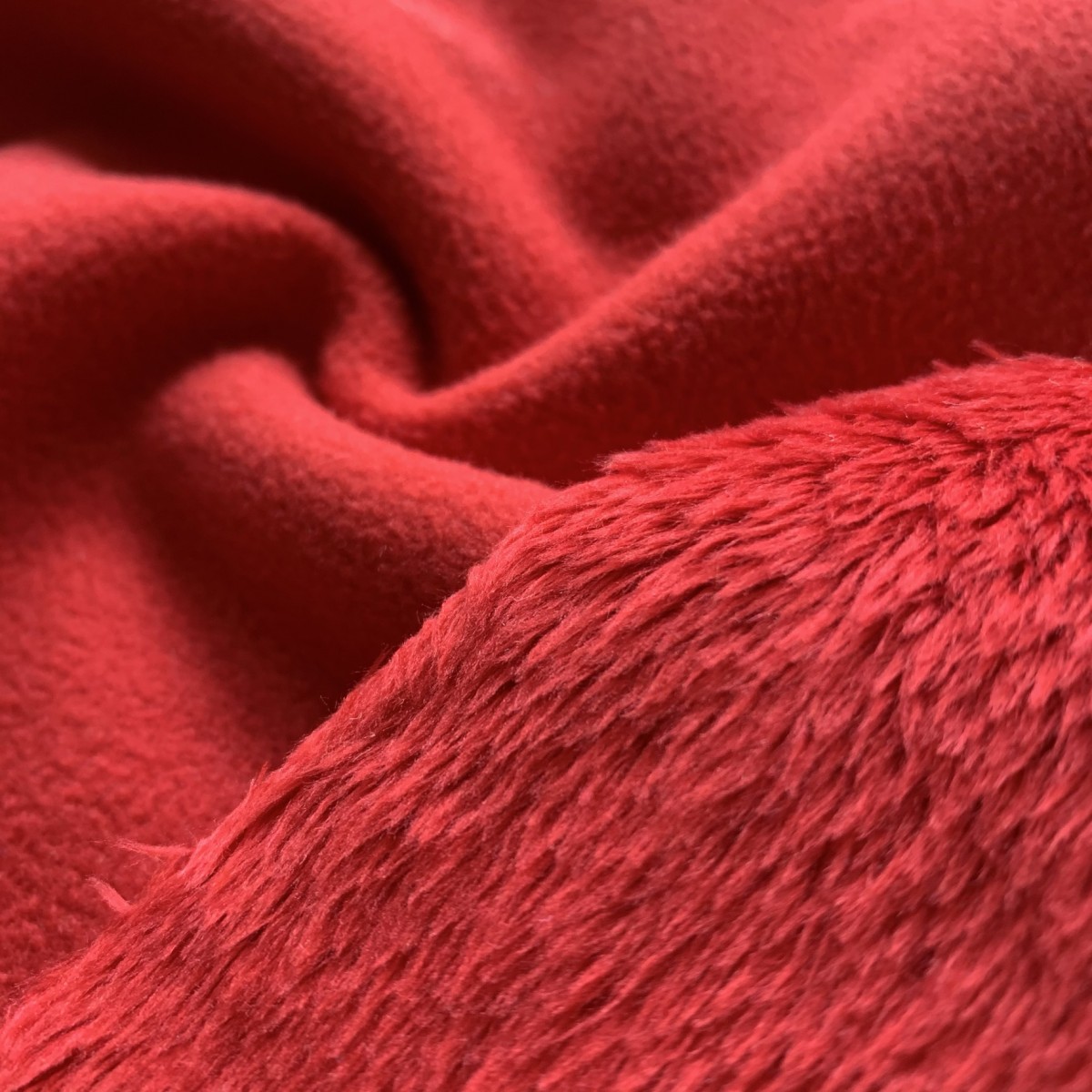 color: PWBO color: PWBO