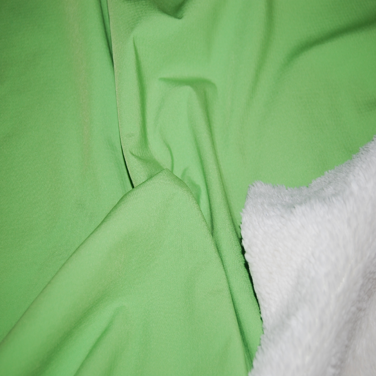 color: SCOS color: SCOS