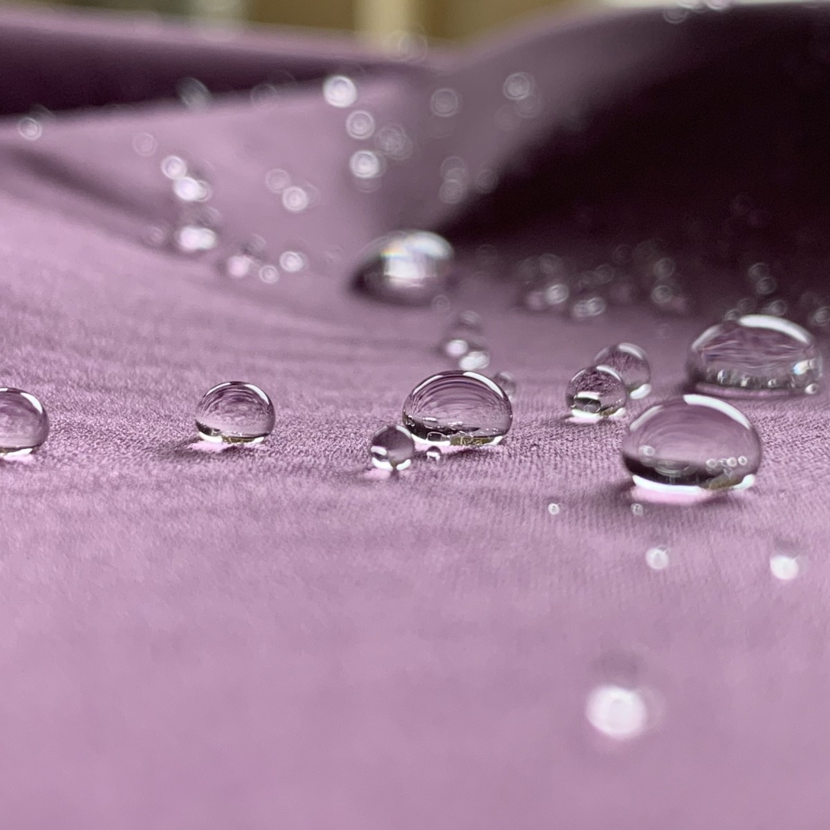 color: SSJE color: SSJE